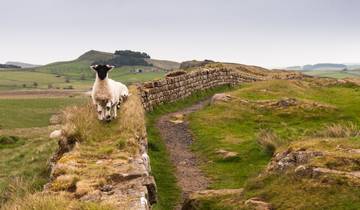 Walk Hadrian's Wall Highlights