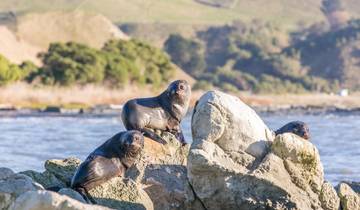Aventure sur la côte ouest de la Nouvelle-Zélande