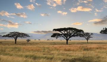 Tansania & Sansibar: Höhepunkte