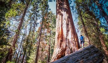 De Pacific Northwest en Californië, met onder andere Washington, Oregon en Californië (van Seattle, WA tot San Francisco, CA, 2027)-rondreis