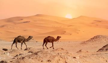 7 Days in Oman, incl. Muscat and Wahiba Sands