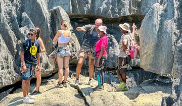 9 jours de safaris familiaux personnalisés dans les Baobabs et les Tsingy, avec guide privé et jeep exclusive
