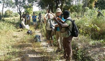 Gambia Birding Safari 10 Days/9 Nights ( Comfort)