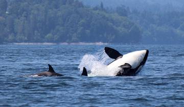 3 Days in Vancouver Island, incl. Victoria and Nanaimo