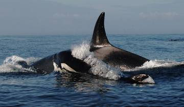 3 Days in Vancouver Island, incl. Victoria and Nanaimo