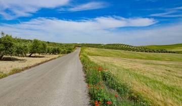 Andalusien - 1001 Nacht im Abendland (8 Tage)
