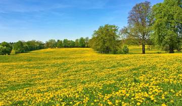 Munich Lakes Tour - 7 Days Isar Cycle Route and Bavarian Lakes (7 Days)