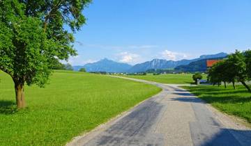 Salzburger Seenland Sternfahrt (7 jours)