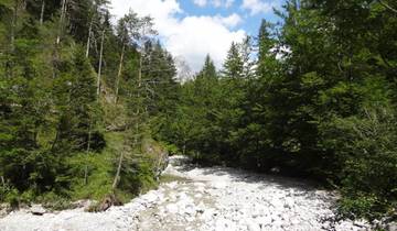 Sommets de Salzbourg & Alpes de Kitzbühel - 8 jours de randonnée en altitude dans le Pinzgau et la vallée de Pillersee (8 jours)
