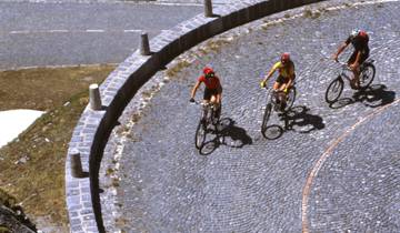 Circuito Travesía de los Alpes por la ruta norte-sur: Basilea - Lugano (8 días)