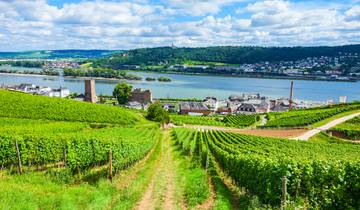 Rheinsteig : Rüdesheim - Coblence (8 jours)