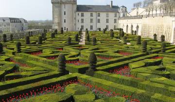 La vallée de la Loire - D'Orléans à Saumur en vélo (6 jours)