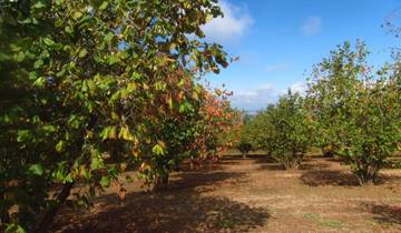 Randonnée plaisir dans le Piémont (8 jours)