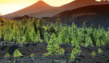 Tenerife - Beauté volcanique (8 jours)