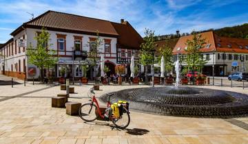 Véloroute du Rhin III : Strasbourg - Mayence (8 jours)