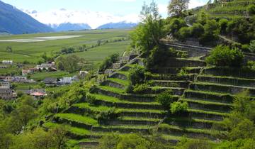 Reschensee - Meran 7 Tage mit Charme