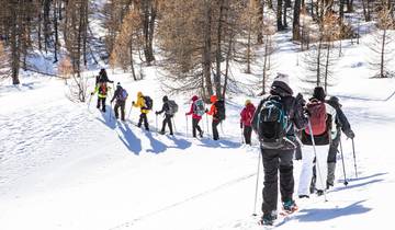 Winter- & Schneeschuhwandern am Mieminger Plateau (7 Tage)