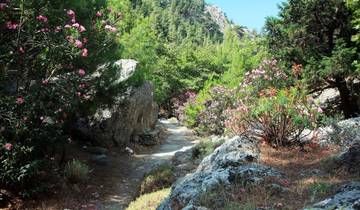 Kreta - Schluchten des Südwestens (8 Tage)