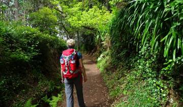 Rund um Madeira (8 Tage)
