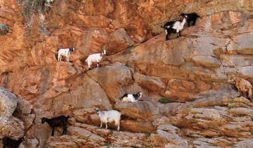 Crète - de côte à côte (8 jours)