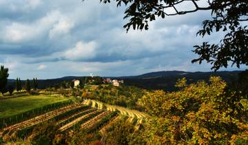 Aventure pédestre à travers l'Istrie verte 7 jours (7 jours)