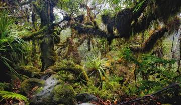 Silvetser in Andalusia (14 days)