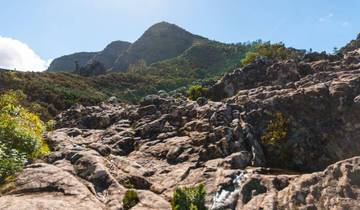 Randonnée sportive à La Gomera (8 jours)