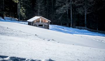 Cours de ski de fond dans la vallée d'Antholz (8 jours)