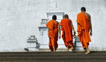 Sri Lankas Highlights erleben (14 Tage)