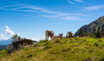 Randonnée à Merano - Nature, plaisir et bien-être (7 jours)