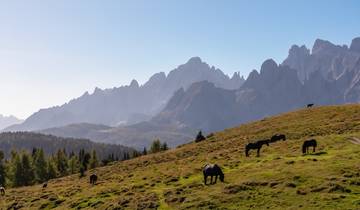 Tyrol du Sud - Dolomites de Sesto (7 jours)