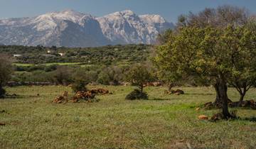 Hike Sardinia in 8 Days