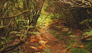Walk Madeira's Highlights (8 days)