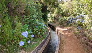 Madère - Randonnée confortable pour la nouvelle année (8 jours)