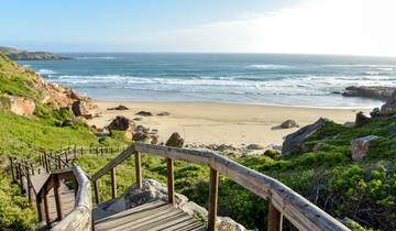 Südafrika - die Highlights der Kapregion und Gardenroute erwandern (15 Tage)