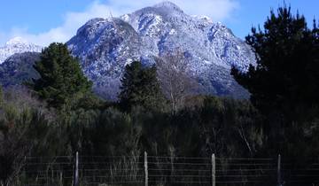 Self-Drive Tour Chile - Araucanía Nativa 6 Days