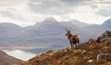 NC500 Road Trip - Self Drive Tour