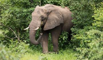 Premium Kenya et; Southern Africa Highlights (from Nairobi to Victoria Falls) circuit