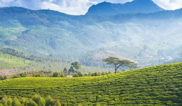 7 Days Tour to Kerala