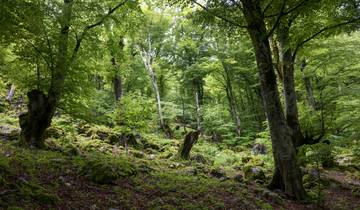 Apennins italiens : Promenades et faune