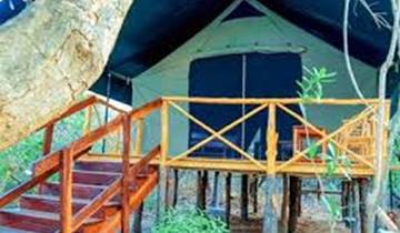 Nehmen Sie an unserer besten 6-tägigen All-inclusive-Privat-Safari nach Selous und Mikumi in Tansania teil, die von Sansibar aus startet