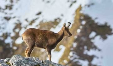 Hiking the High Trails of the Picos de Europa