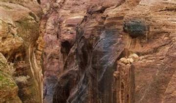 Ontdek Petra en Wadi Rum in 4 dagen (vanaf 2 reizigers, 5-sterrenhotel)-rondreis
