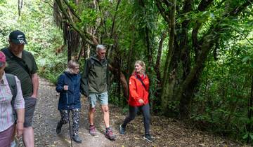 New Zealand Northern Trail (Southbound) (16 destinations)