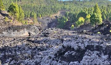 La Palma Special (8 days)