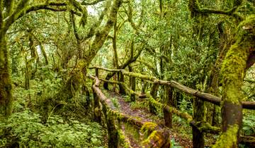 Randonnée à La Gomera (8 jours)