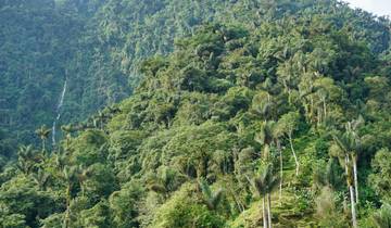 Lost City of Colombia - 8 days