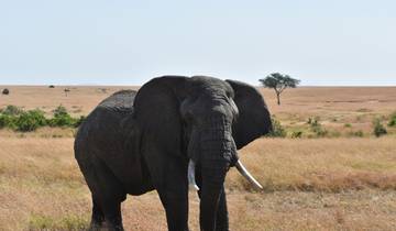 05 jours Kenya Budget Camping 4x4 Jeep Group Safari