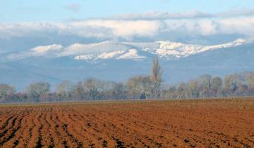 Weinroute mit tollen Ausblicken auf Süd Vogesen - von Barr nach Kaysersberg (8 Tage)
