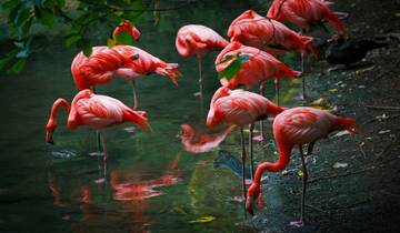 Münsterland: große Rundtour (8 Tage)